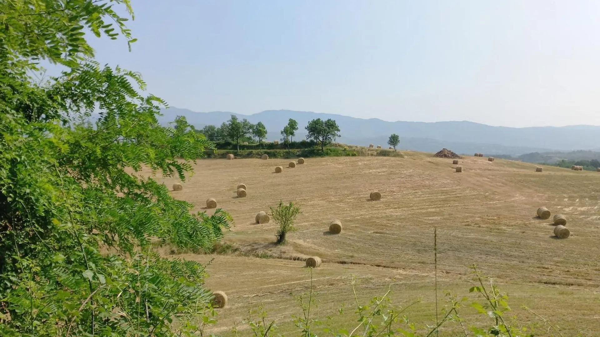 Agriturismo A Casa Di Toni Monticello Italien