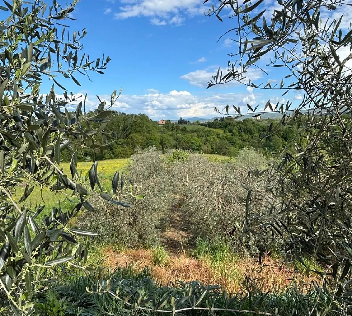 Agriturismo A Casa Di Toni Monticello Σπίτι διακοπών